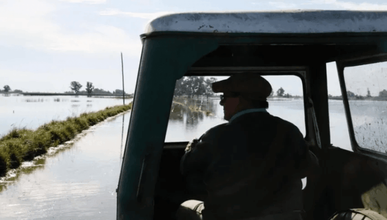 Coninagro pidió al Congreso tratar la ley de emergencia agropecuaria.