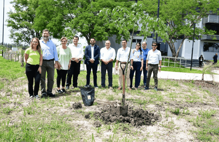 El Municipio y la UNNE fortalecen la investigación y planificación del arbolado en la ciudad