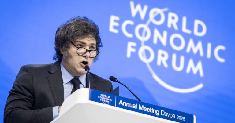 La economía de Milei en 2025: cinco claves para entender un año de locos