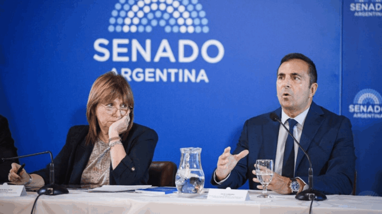 El secretario de Trabajo defiende la reforma laboral en el Senado ante las críticas del kirchnerismo