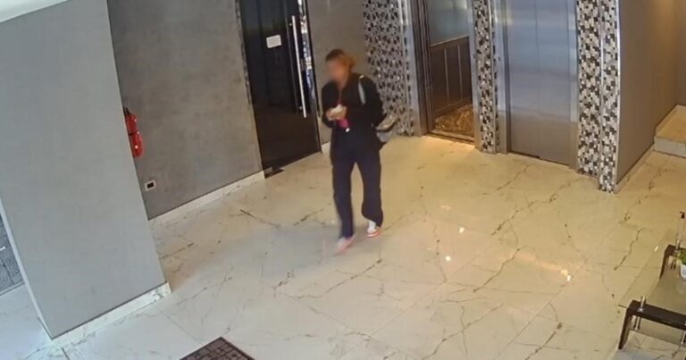 La viuda negra que dejó los dedos marcados: una huella dactilar permitió identificarla y fue detenida en Villa Urquiza