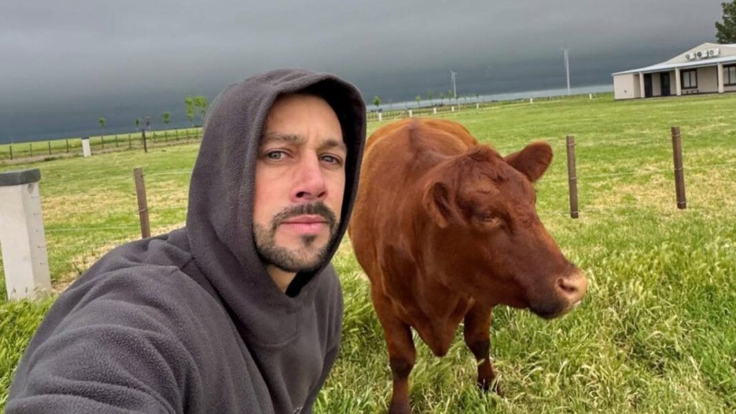 Ilustración de un campo con ganado vacuno, representando el conflicto agropecuario.