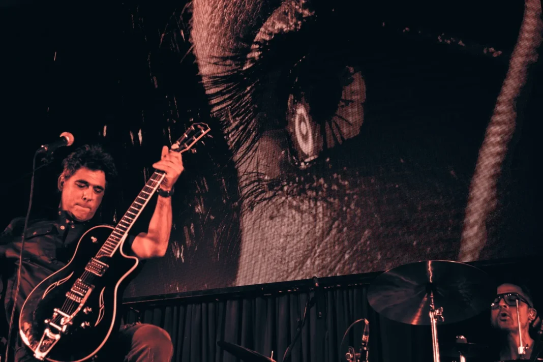 El músico rosarino Diego Wacker durante una presentación en vivo.
