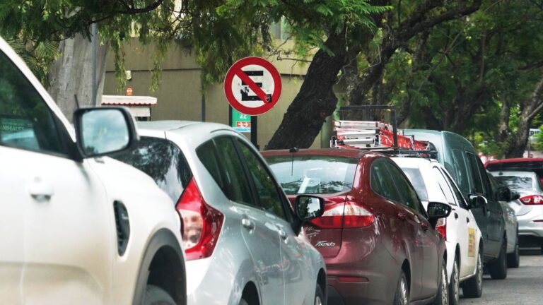 Gráfico de denuncias ciudadanas en Rosario mostrando el predominio del estacionamiento indebido