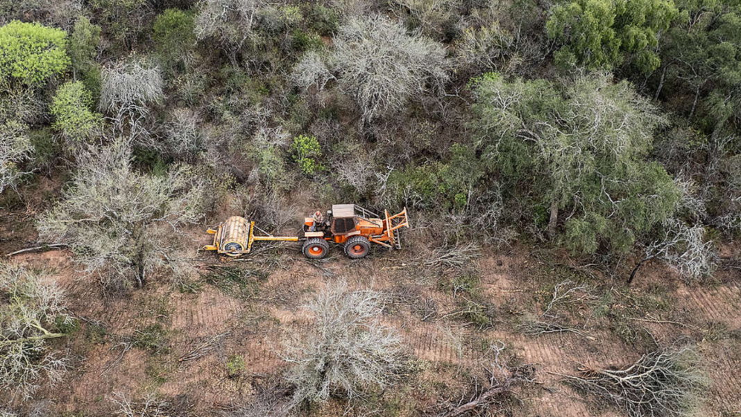 Campo anegado en el norte de Santa Fe tras las intensas lluvias