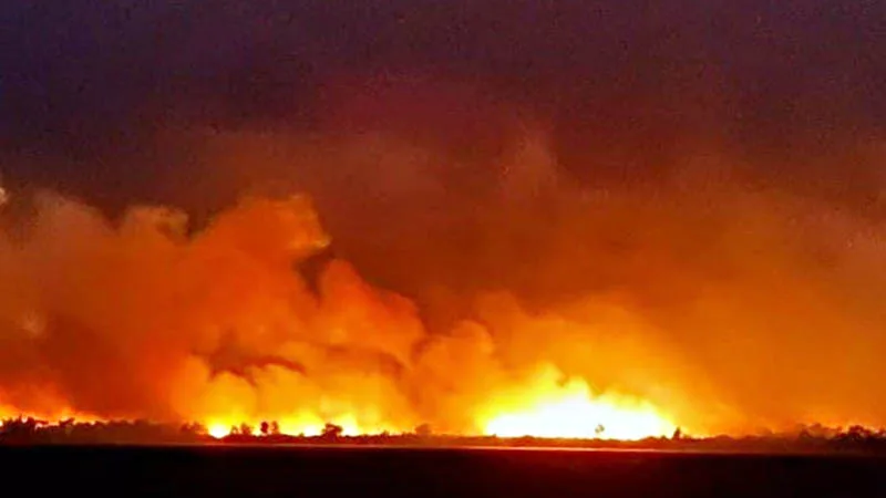 Imagen referencial del Delta del Paraná con humo en el horizonte