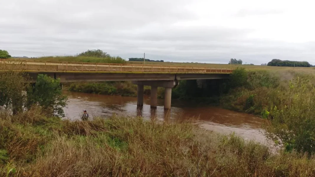Personal de emergencias trabajando en el rescate de un vehículo volcado en un puente rural.
