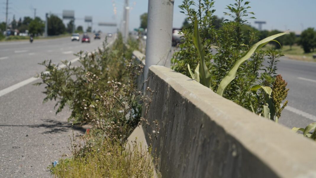Mapa de la provincia de Santa Fe con iconos representando infraestructura y flujo de recursos