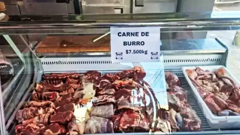 Productor y carne de burro en carnicería de Trelew, Chubut