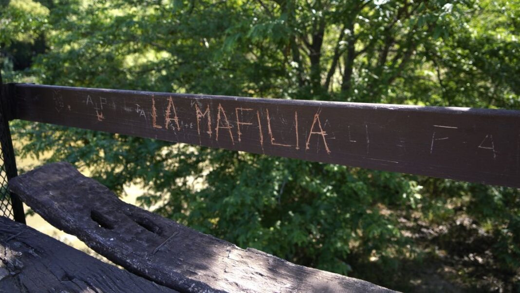 Fotografía de Alexis Romero, miembro de La Mafilia, condenado a 13 años de prisión