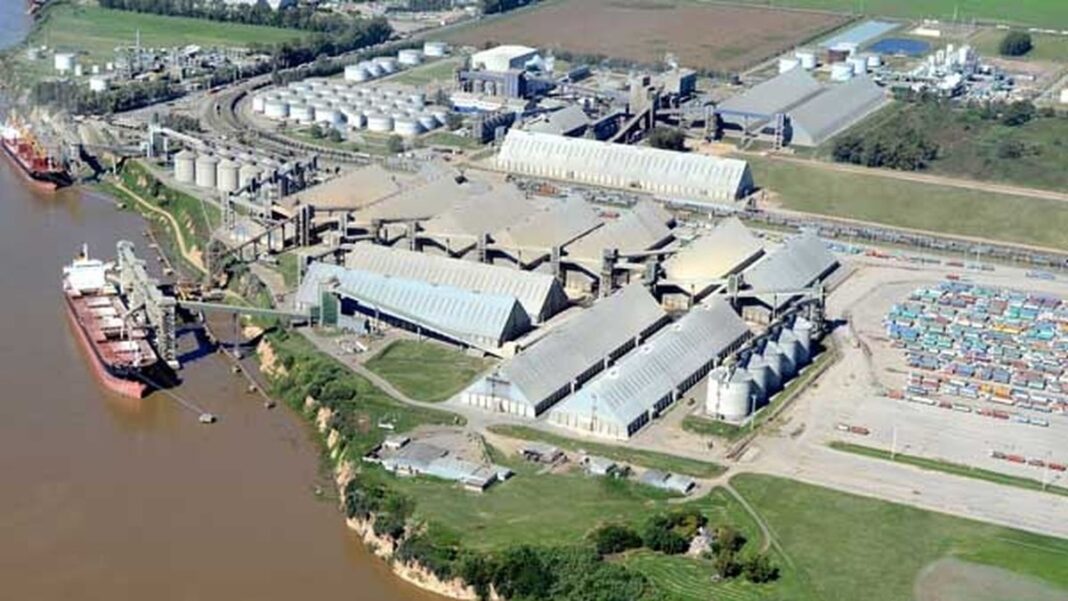 Trabajadores aceiteros en una planta industrial de Santa Fe