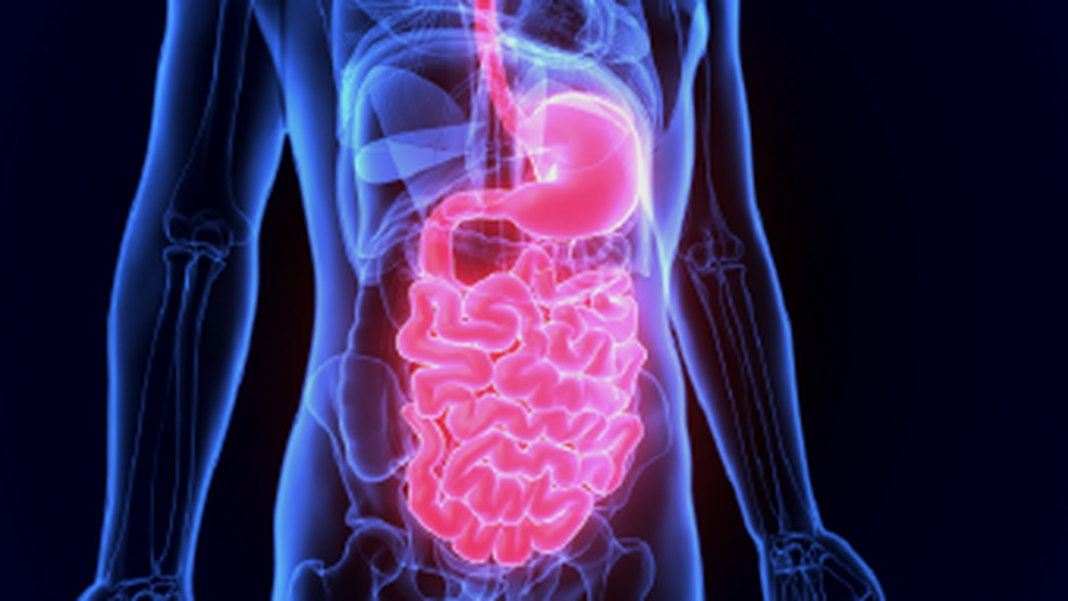 Médico realizando una endoscopía digestiva a un paciente en un consultorio