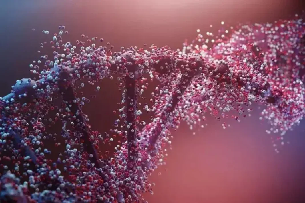 Investigación sobre variantes genéticas y trastornos de ansiedad
