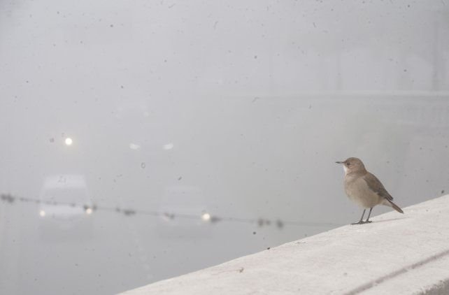 Niebla espesa en la región de Santa Fe