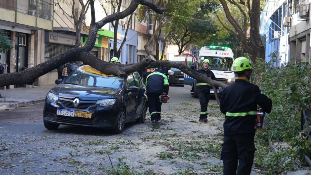 Árbol caído sobre un taxi en la calle Zeballos al 1300, Rosario