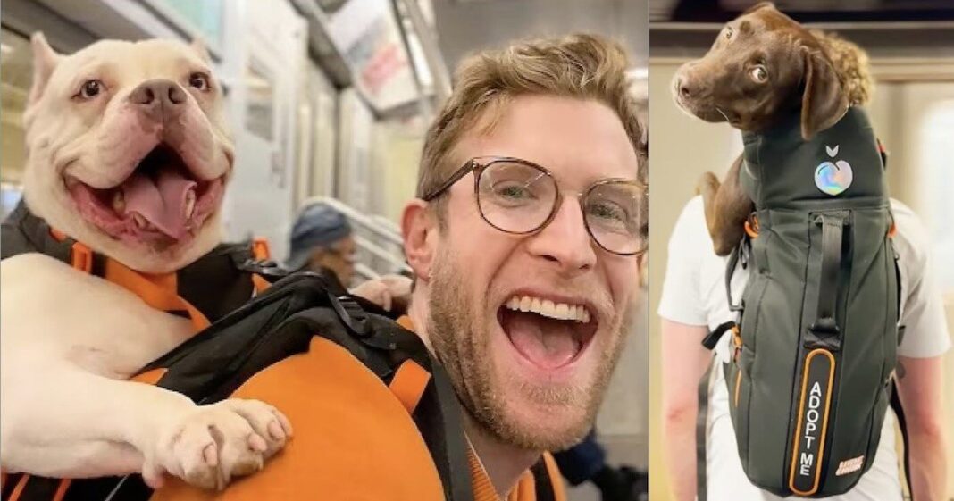 Bryan Reisberg con un perro en una mochila por la ciudad de Nueva York