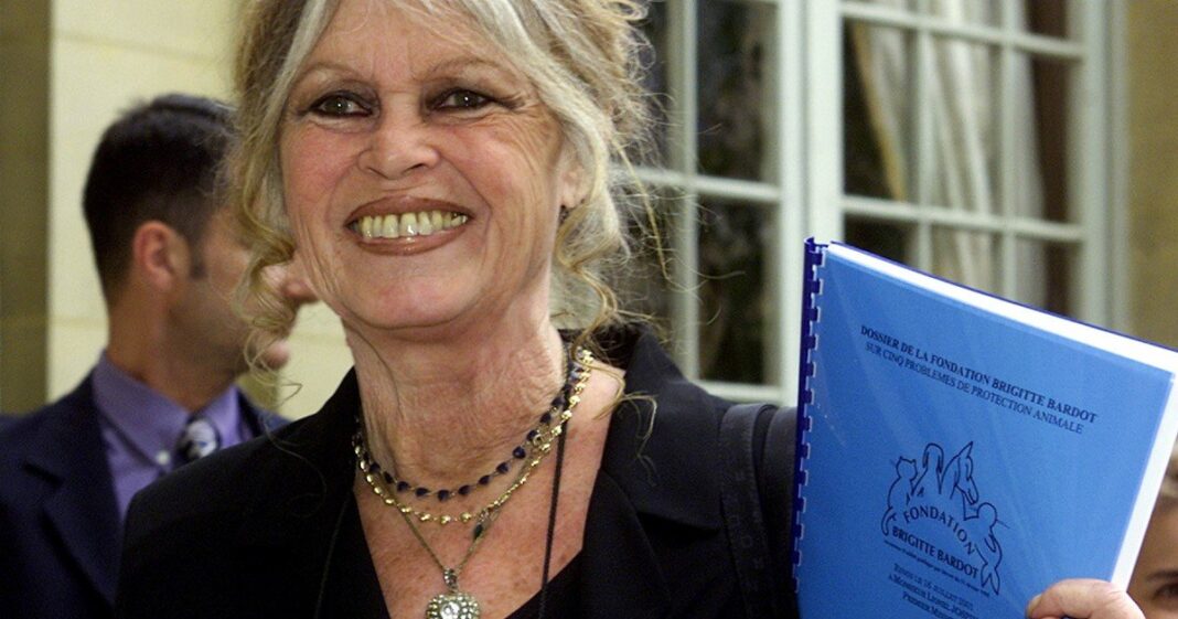 Brigitte Bardot en una fotografía de archivo