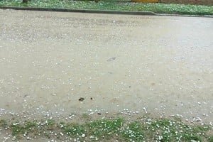 Granizo de gran tamaño en la ciudad de San Cristóbal