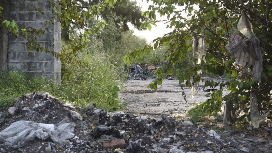 Contenedores de residuos en una calle de Rosario
