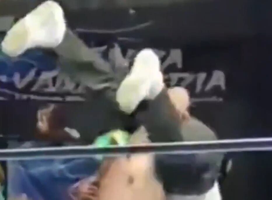 Árbitro de lucha libre 