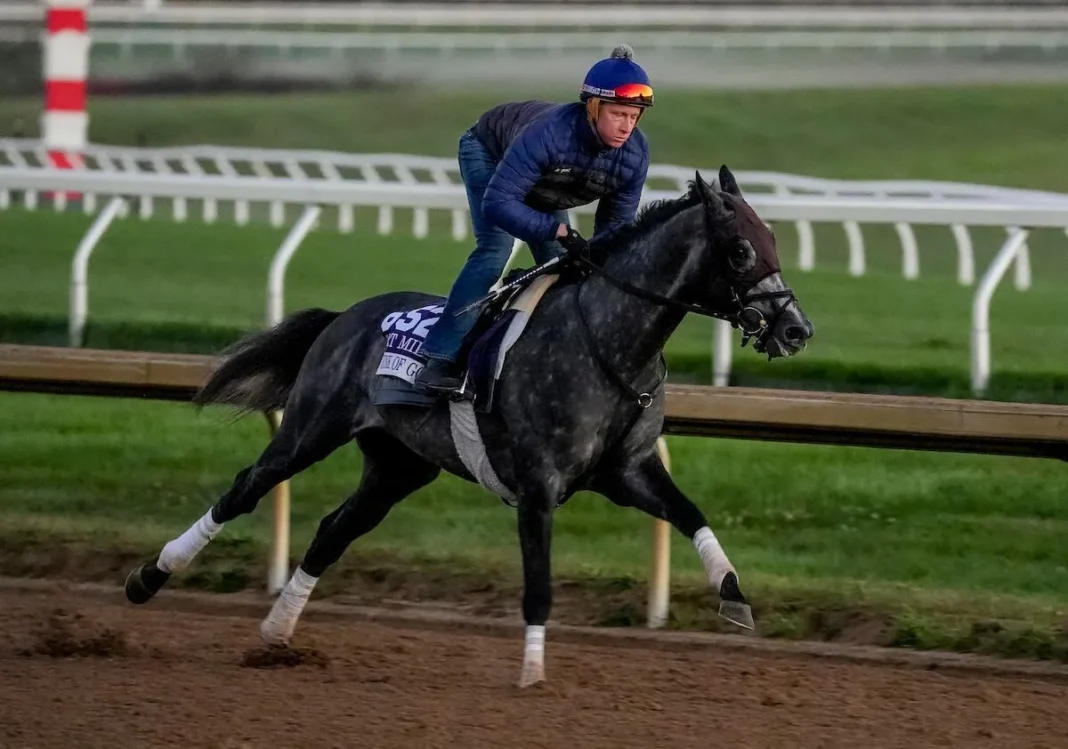 Chunk of Gold, el caballo de 2500 dólares que competirá en la Breeders' Cup