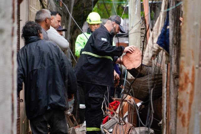 Viviendas afectadas por la caída de un árbol en Villa Banana, Rosario
