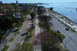 Vista de la Avenida 7 Jefes en Santa Fe con el cantero central renovado y el monumento al Brigadier López