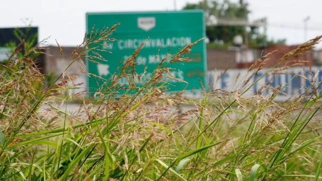 Avenida Circunvalación de Rosario con luminarias apagadas y vegetación en la banquina