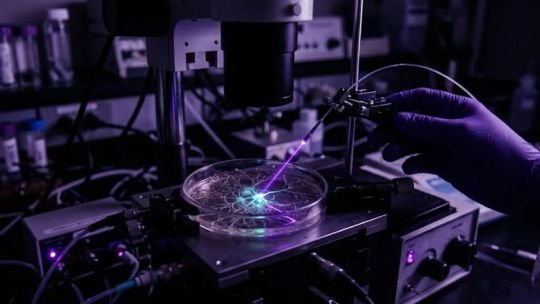 Ilustración de neuronas iluminadas con luz azul representando la técnica de optogenética