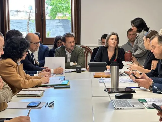 Sesión en el Senado de Santa Fe con legisladores debatiendo la reforma en seguridad